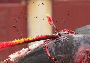 Una foto realmente impactante, la tauromaquía al final solo es sangre en el aire.