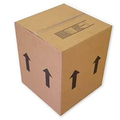 Maneras para deshacerse de un gato: La caja de cartón