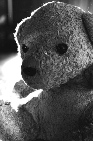 Otras pruebas – oso de felpa