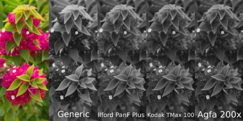 Nuevo plugin en DIGIKAM – Simulación de rollos B/W